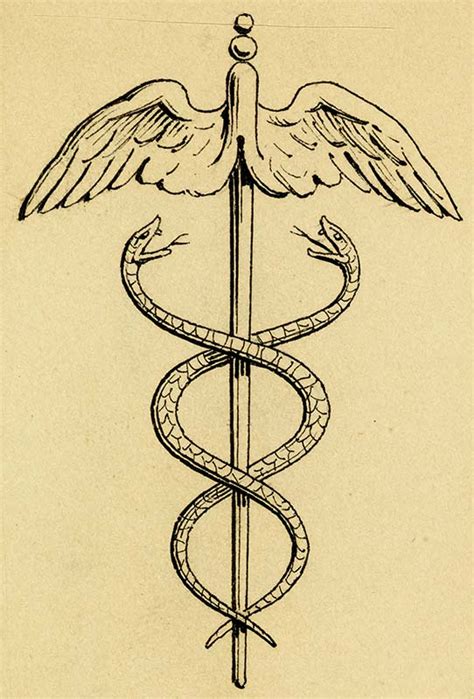 Dessin stylisé d'un caducée d'Hermès avec des branches de noisetier entrelacées.