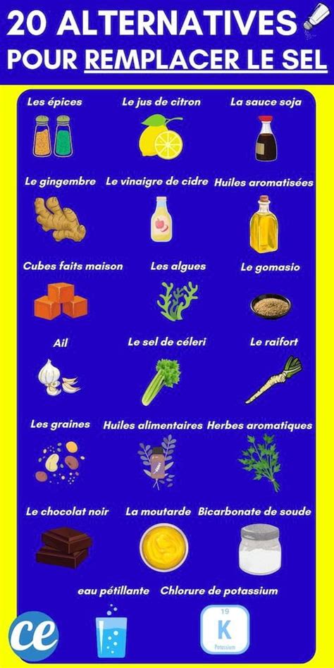 Infographie sur les alternatives au sel en cuisine