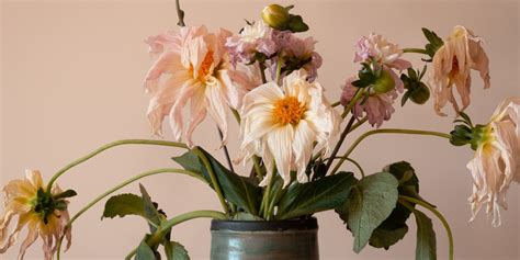 Nettoyage des fleurs fanées