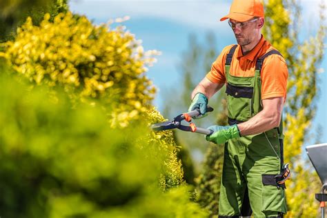Matériel de jardinage professionnel (tondeuse, taille-haies)
