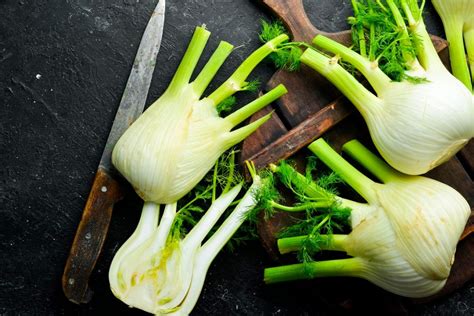 différentes coupes de fenouil pour la cuisine