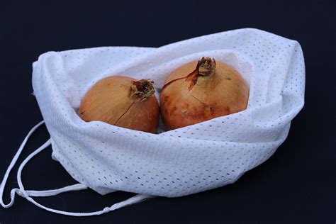 fenouil conservé dans un sac perforé au réfrigérateur