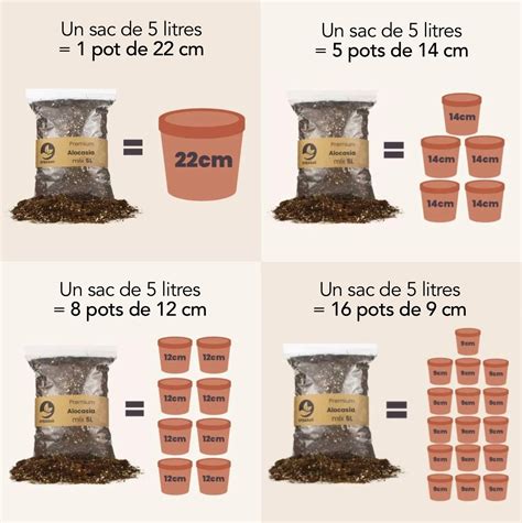 Schéma illustrant la composition d'un substrat idéal pour Alocasia
