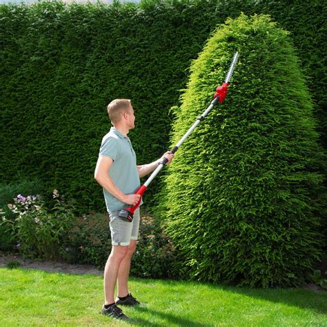 Taille-haie en action