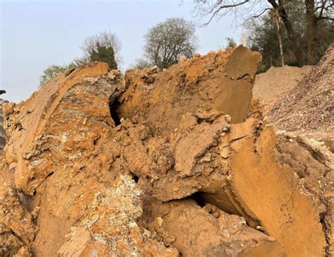 Terre argileuse en période de sécheresse