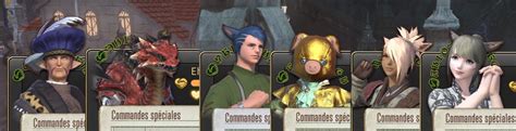 Interface des commandes spéciales FFXIV