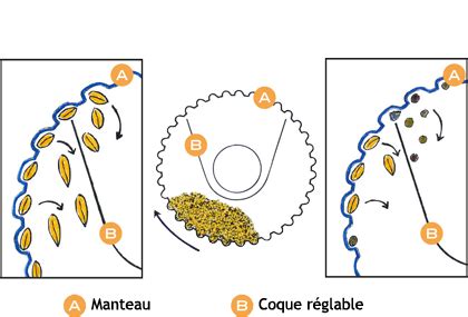 Illustration d'un trieur alvéolaire