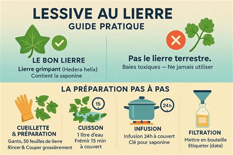 Préparation d'une lessive maison au lierre