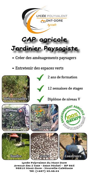 Diagramme des modules du CAP Agricole Jardinier Paysagiste
