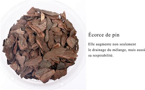 Gros plan sur de l'écorce de pin pour orchidées