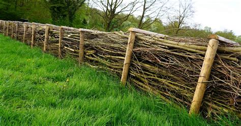 Photo d'une haie sèche en milieu rural, intégrant parfaitement le paysage