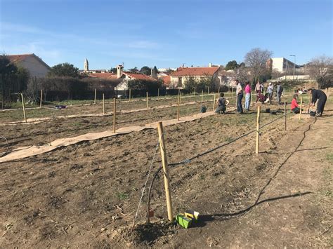 Verger urbain participatif