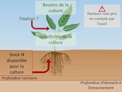 Diagramme montrant la profondeur d'enracinement encouragée par un arrosage profond