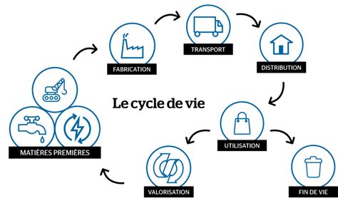Schéma du cycle de vie de l'aubergine