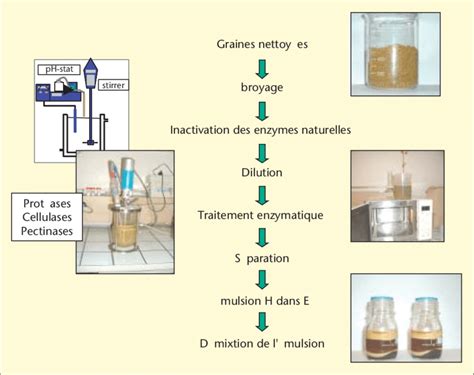 Procédé d'extraction des graines d'aubergine