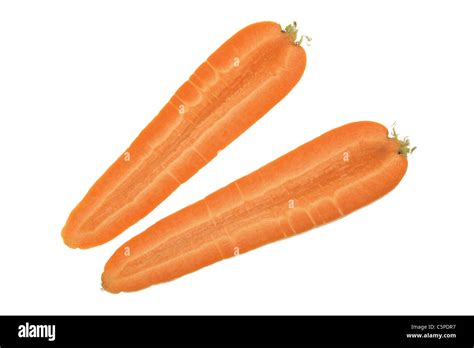 Illustration d'une carotte coupée en deux montrant sa racine pivotante et son feuillage