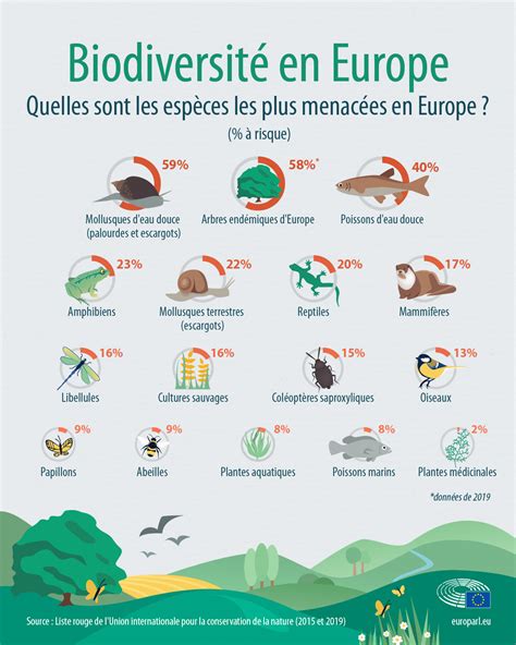 Infographie sur les espèces de plantes menacées par la sur-cueillette