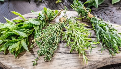 Plantes aromatiques séchées à la ferme L'Enracinée