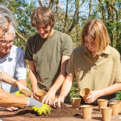 Atelier pratique de permaculture