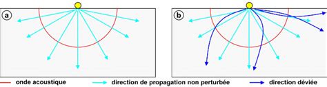 Schéma de propagation de l'herbe