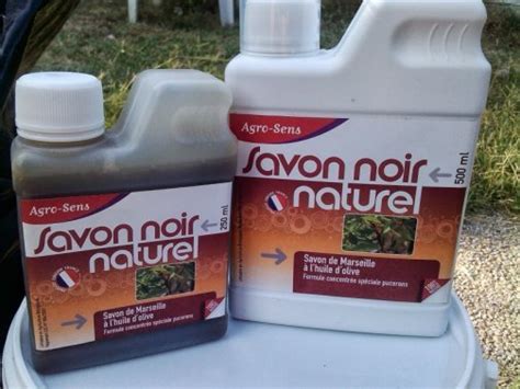 Préparation de savon noir pour le jardin