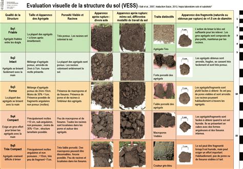 Types d'amendements pour le sol