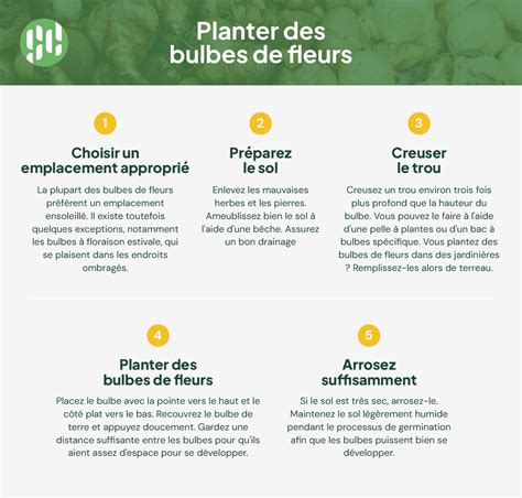 Infographie sur les avantages d'acheter des bulbes de fleurs auprès d'un fournisseur spécialisé (traçabilité, circuit court, qualité)