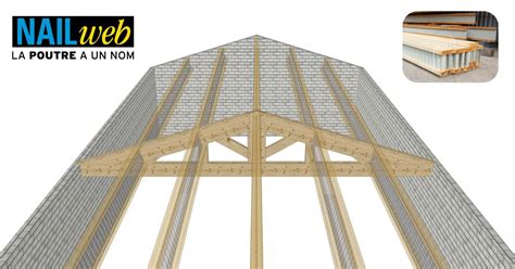 Schéma de la construction d'une hutte de Jardinier brun