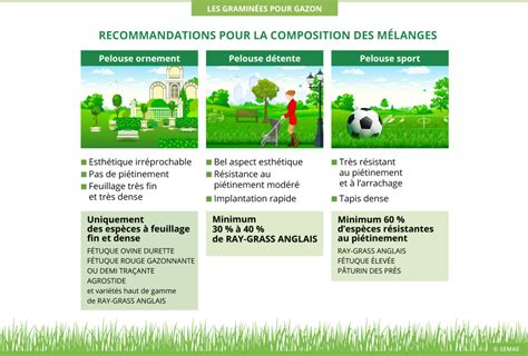 Composition d'un mélange de graines de gazon