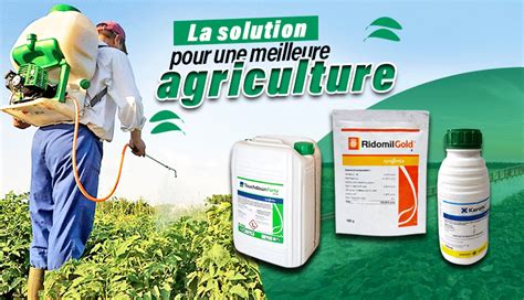 Vignoble traité avec des produits phytosanitaires