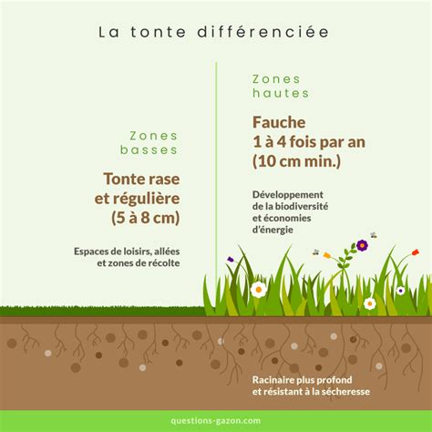 Schéma de tonte différenciée dans un jardin