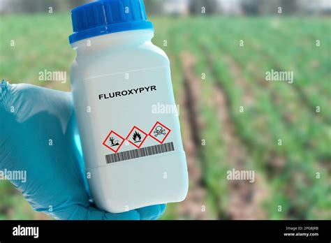 Molécule de Fluroxypyr