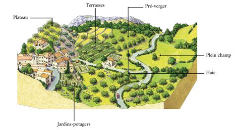 Carte historique des zones de cultures fruitières dans le Verdon