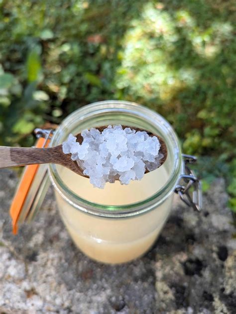 Gros plan sur des grains de kéfir de fruits