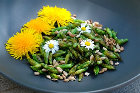 Plat gastronomique intégrant des plantes sauvages