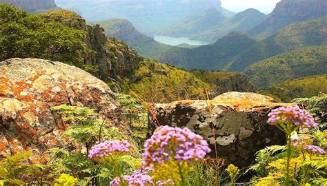 paysage naturel et spirituel rasta en Afrique du Sud