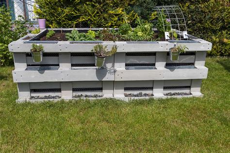 Photo d'un potager surélevé DIY réalisé avec des palettes de bois