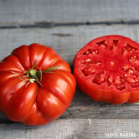 Photo de la forme particulière de la tomate 'Couille de taureau'