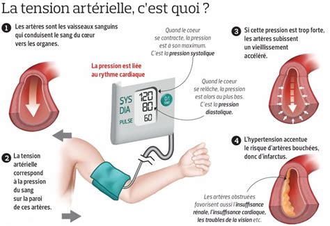 Infographie montrant les effets de l'hibiscus sur la pression artérielle, le cholestérol et la glycémie