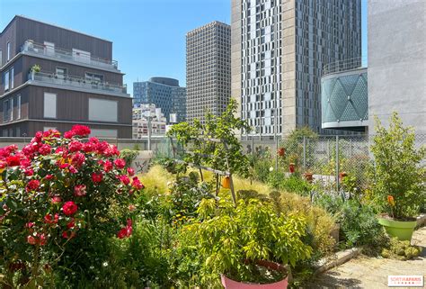 Photo aérienne du site de la Vacquerie avec les parcelles cultivées et les jardins partagés