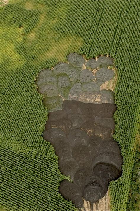Image d'un champ fertilisé avec du fumier