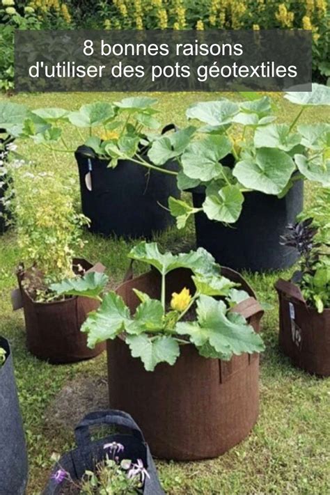 tableau des tailles de pots géotextiles en fonction des plantes