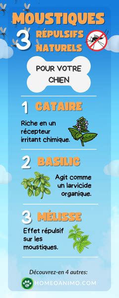 Infographie sur les remèdes naturels contre les nuisibles