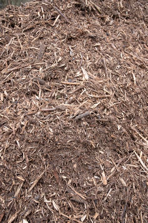 Illustration des différents usages du broyat dans un jardin (paillage, amendement)