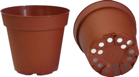 Comparaison pots en terre cuite et plastique pour plantes grasses