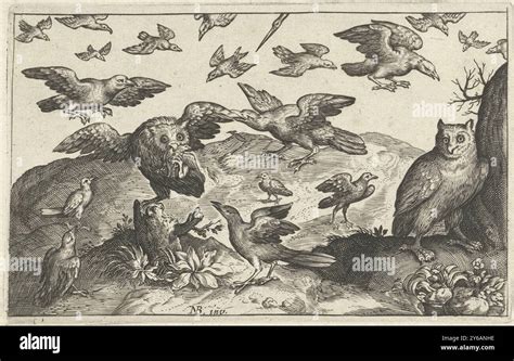 Verger attaqué par des oiseaux