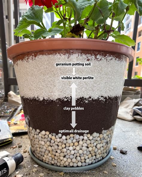 Schéma de composition de substrat pour géranium en pot