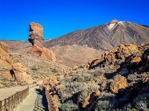 Paysage de Tenerife avec le Teide en arrière-plan et un espace vert au premier plan