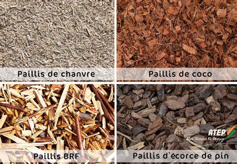 Infographie comparant différents types de paillis organiques et leurs bénéfices