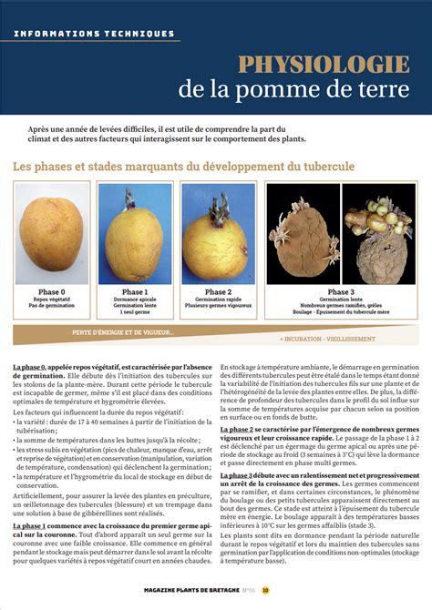 Infographie sur les différents désordres physiologiques de la pomme